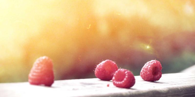 从田间到餐桌的信任革命：鲁豫北野如何用区块链为每一粒种子建立数字身份