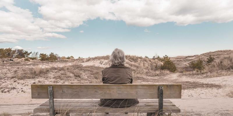 从经验到智能：构建农业知识图谱，驱动鲁豫北野绿色食品的创新革命