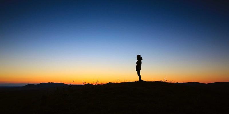 农业元宇宙破局：从鲁豫北野实践看虚拟农场如何重塑新农人培养与营销生态