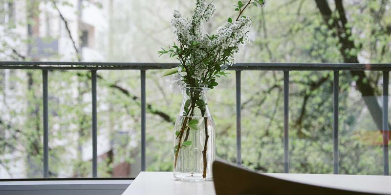 告别化肥依赖：合成生物学如何用微生物固氮开启农业绿色革命